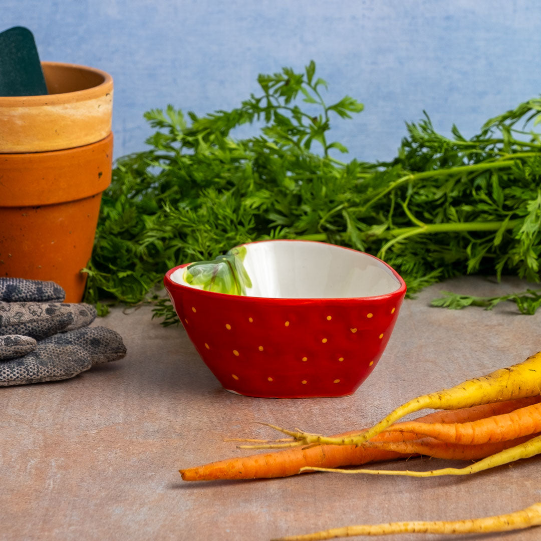 Strawberry Bowl surrounded by carrots and pots for plants and gardening gloves